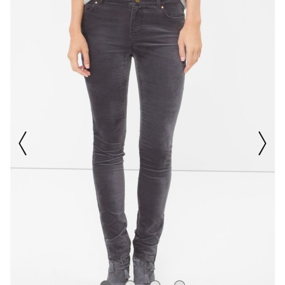 WHBM Crushed Velvet The Skimmer Pants